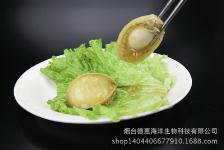 煙臺(tái)鮮活水產(chǎn)品市場(chǎng)全覽 批發(fā)價(jià)格與城際分類農(nóng)產(chǎn)品解析