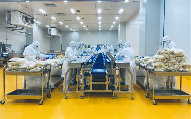 萬緯青島榴蓮超級工廠正式開倉 攜手客戶共筑高效、韌性農產品供應鏈生態