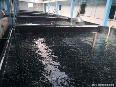 工廠(chǎng)化水產(chǎn)養(yǎng)殖 科技引領(lǐng)下的現(xiàn)代水產(chǎn)品生產(chǎn)方式