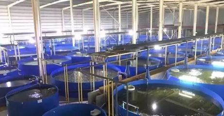 德清漁業(yè)養(yǎng)殖尾水治理成果顯著，再獲國(guó)家級(jí)專(zhuān)家關(guān)注