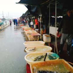 無(wú)錫小溪橋水產(chǎn)批發(fā)市場(chǎng) 地址、電話(huà)、營(yíng)業(yè)時(shí)間與美食探尋指南