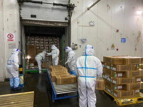 園區(qū)進(jìn)口冷鏈?zhǔn)称芳斜O(jiān)管倉(cāng)正式啟用 技術(shù)進(jìn)出口與食品安全管控的雙重革新